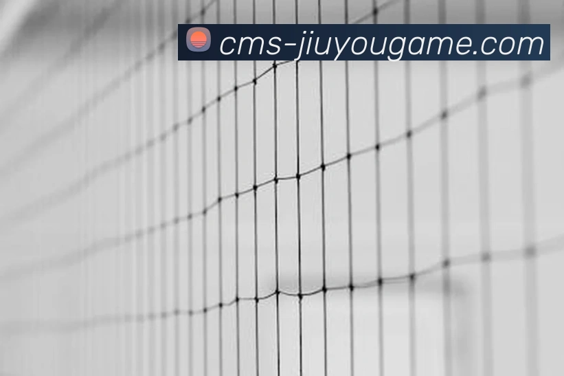 J9九游APP 封面图